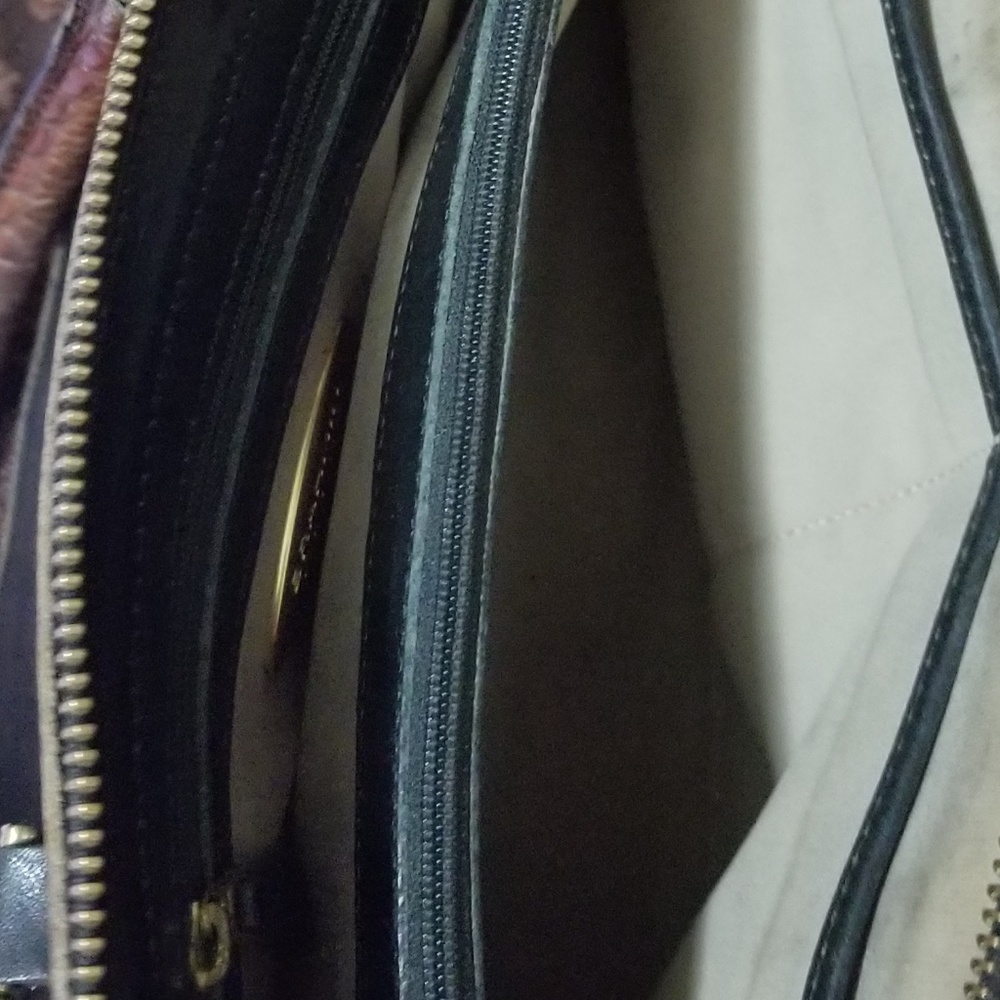 BRAHMIN - Picture 3 of 4